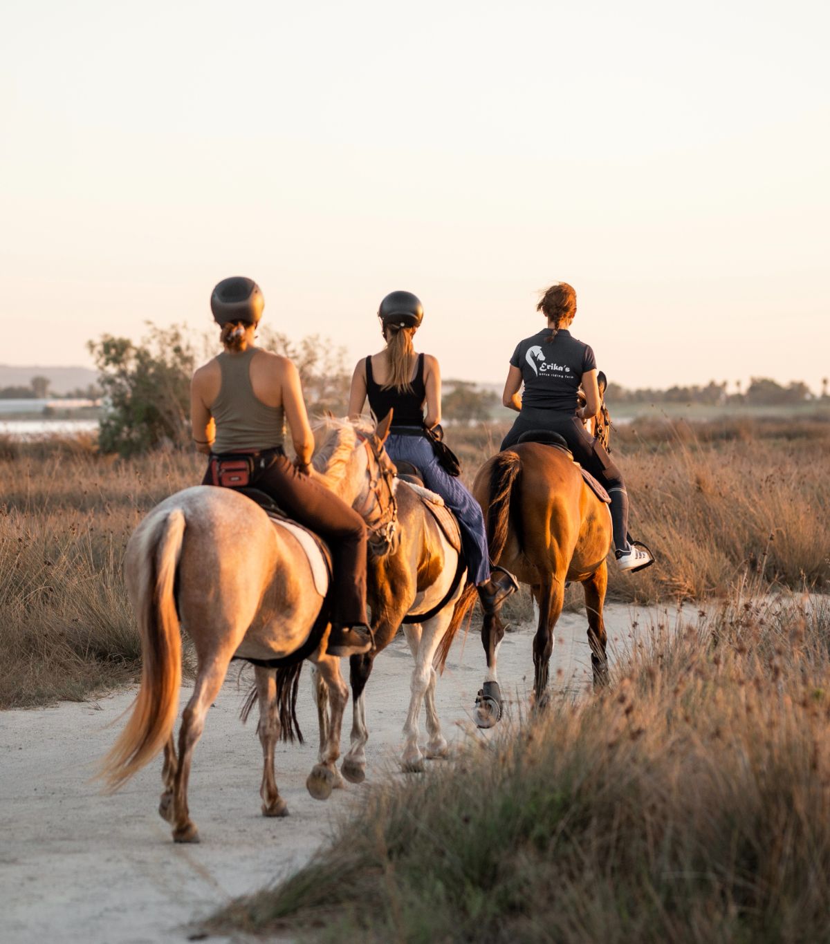 Erika's Horse Farm