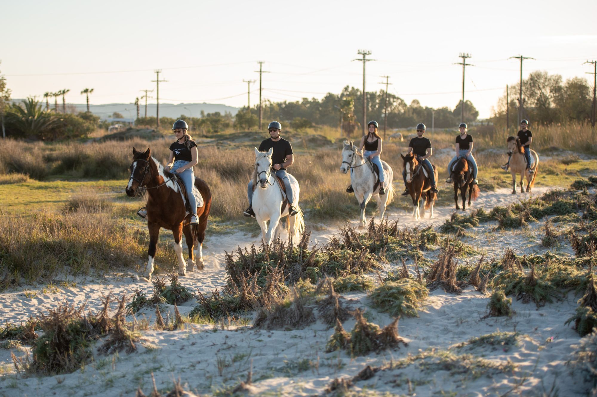 Erika's Horse Farm