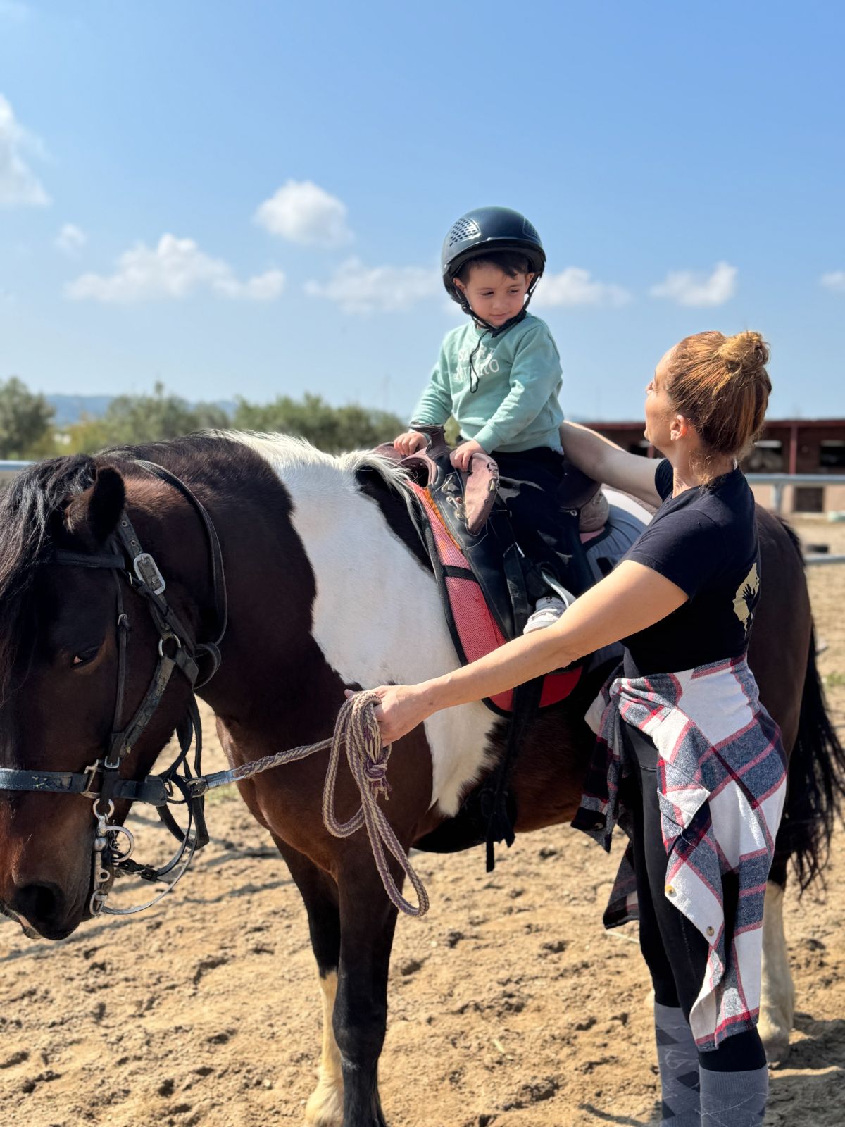 Erika's Horse Farm