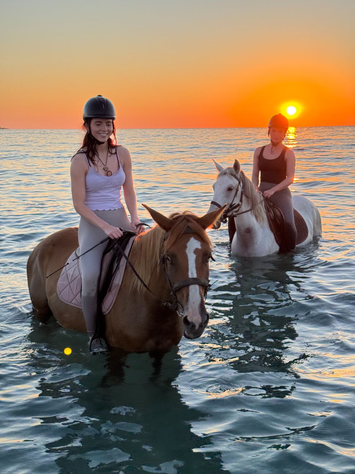 Erika's Horse Farm