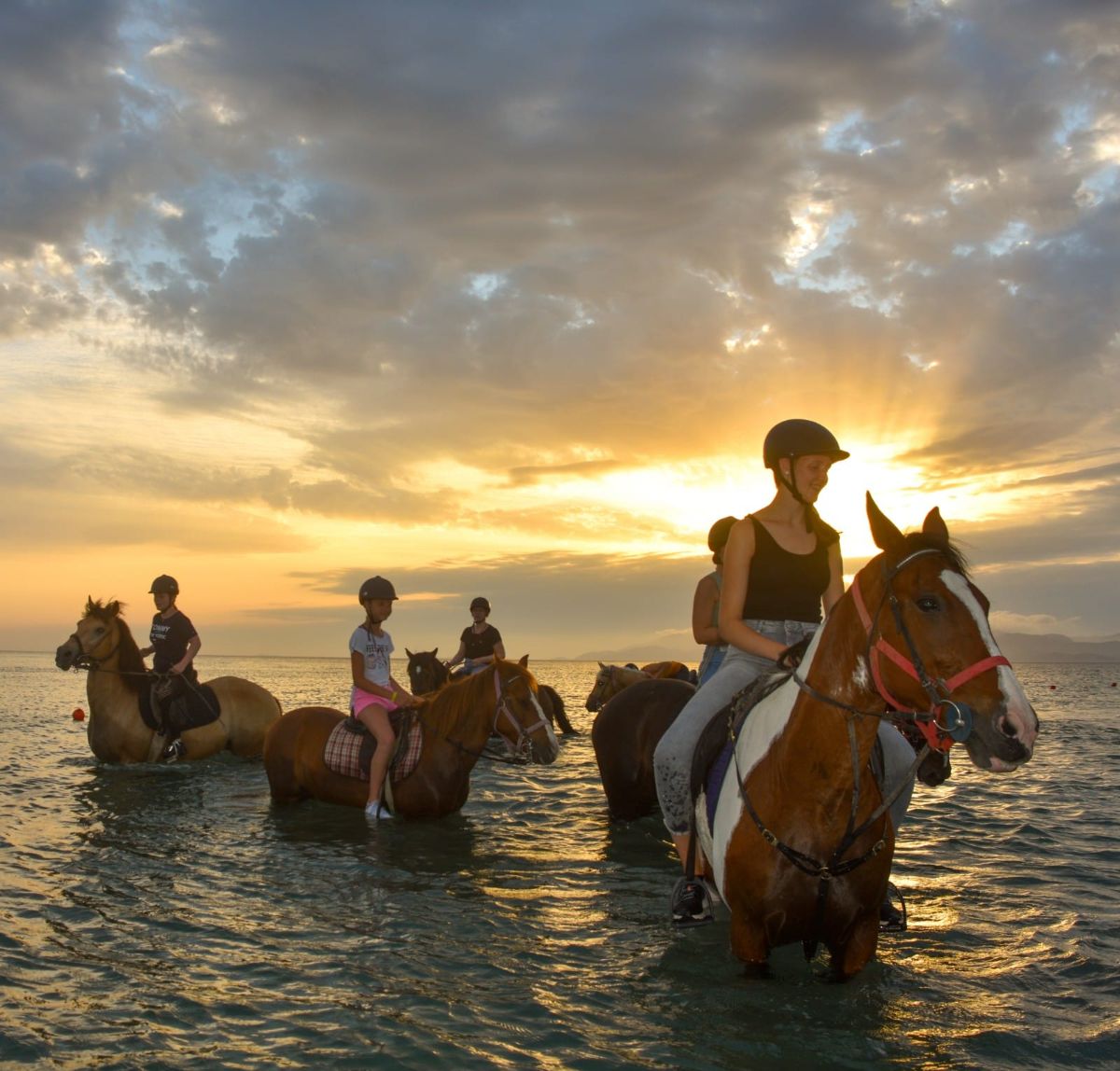 Erika's Horse Farm