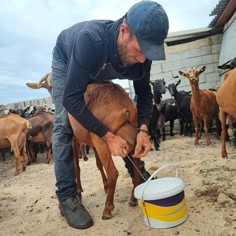 The Goat Shepherd’s Table