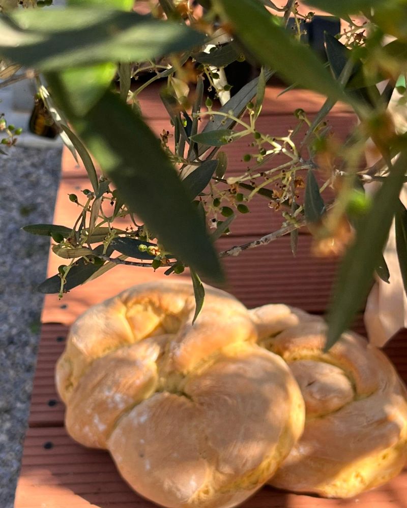 Knead & Feast